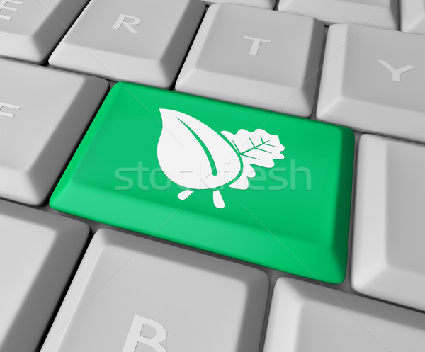 Green Leaf on Computer Keyboard Stock photo © iqoncept