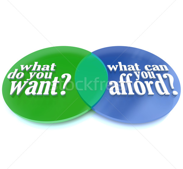 What Do You Want vs Can You Afford Venn Diagram Stock photo © iqoncept