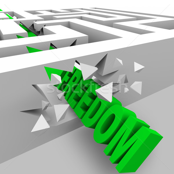 Freedom - Green Word Breaks Through Maze Walls Stock photo © iqoncept