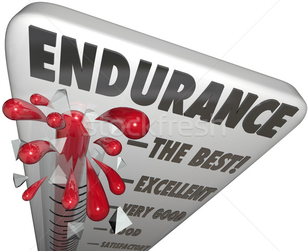 Endurance Measurement Highest Best Survival Skills Stamina Power Stock photo © iqoncept