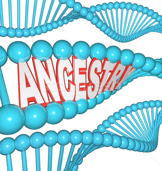 Ancestry Word in DNA Research Your Genealogy Ancestors Stock photo © iqoncept