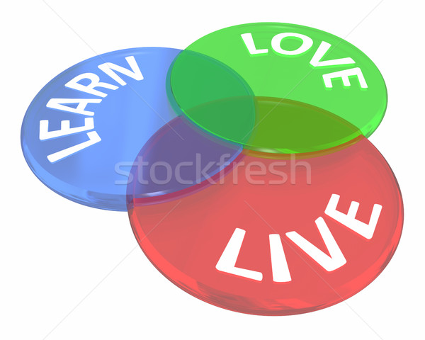 Live Learn Love Life Experience Venn Diagram Circles 3d Illustra Stock photo © iqoncept