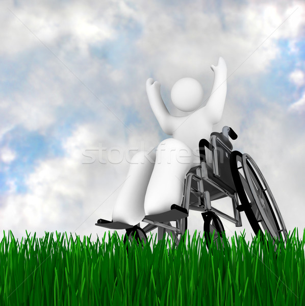 Rollstuhl Person genießen Freien grünen Gras blauer Himmel Stock foto © iqoncept