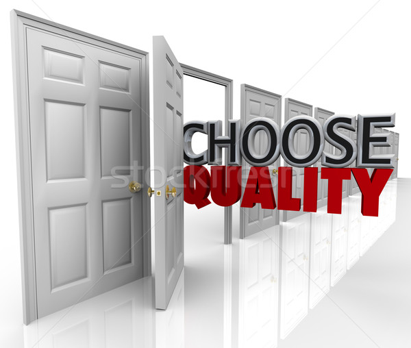 Choose Quality Many Doors Choice Decide Best Option Stock photo © iqoncept