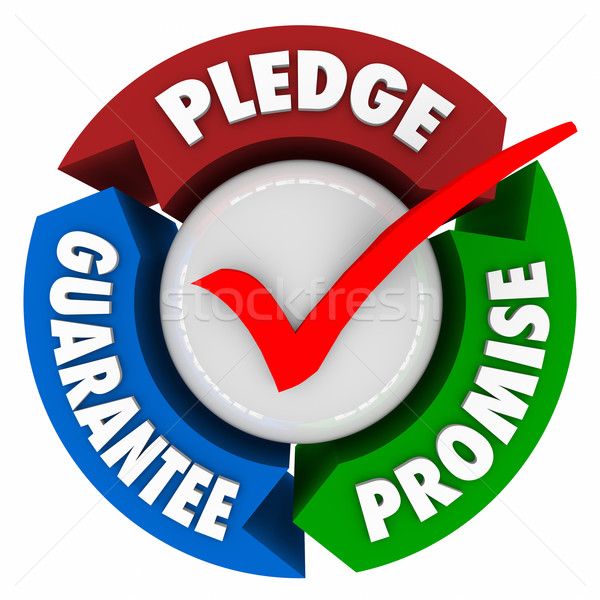 Pledge Promise Guarantee Vow Assurance Check Mark Stock photo © iqoncept