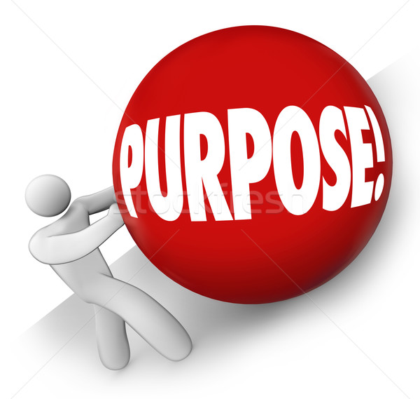 Purpose Ball Rolling Uphill Goal Mission Objective in Life Caree Stock photo © iqoncept