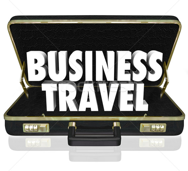 Business Travel Briefcase Words Important Meeting Stock photo © iqoncept