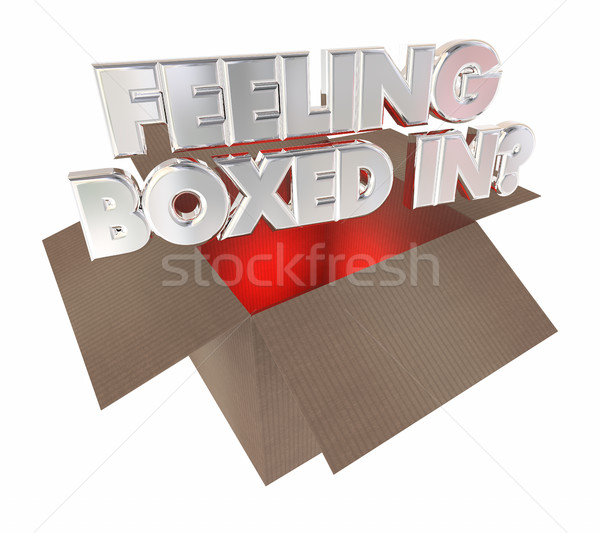Feeling Boxed In Cardboard Package Trapped 3d Illustration Stock photo © iqoncept