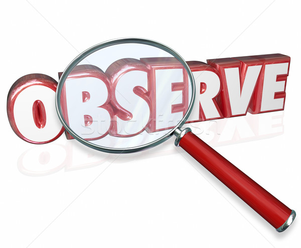 Observe 3d Word Magnifying Glass Examine Inspect Pay Attention Stock photo © iqoncept