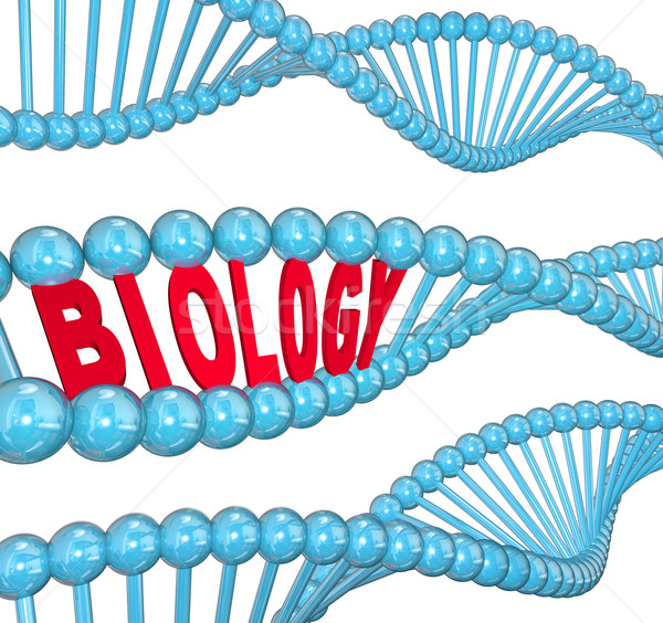 Biology Word DNA Strand Science Learning Stock photo © iqoncept