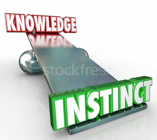 Instinct vs kennis 3D woorden zie Stockfoto © iqoncept