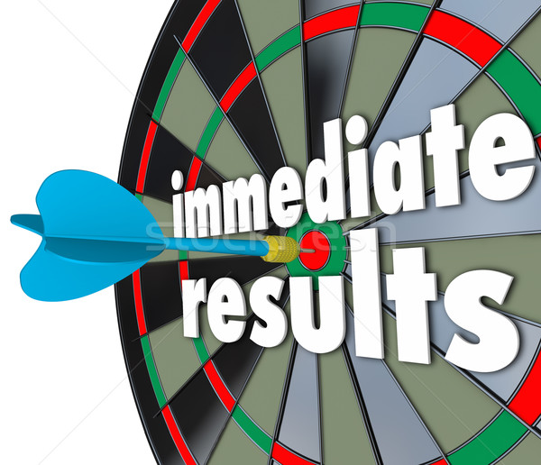 Immediate Results Dart Board Meeting Goal Outcome Now Stock photo © iqoncept