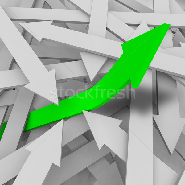 One Arrow Rises from the Rest Stock photo © iqoncept