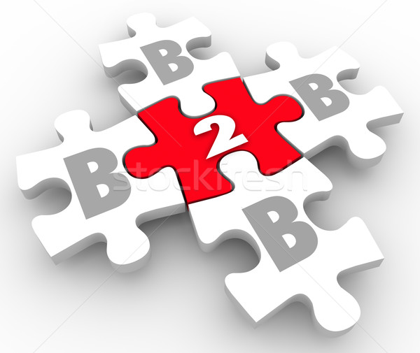 B2B Puzzle Pieces Business to Business Connections Networking Stock photo © iqoncept