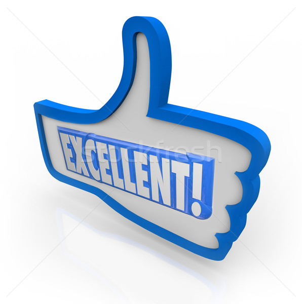 Excellent Feedback Thumbs Up Review Like Approval Stock photo © iqoncept