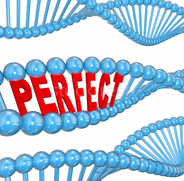 Perfect Genes DNA Hereditary Health Good Wellness Condition Stock photo © iqoncept