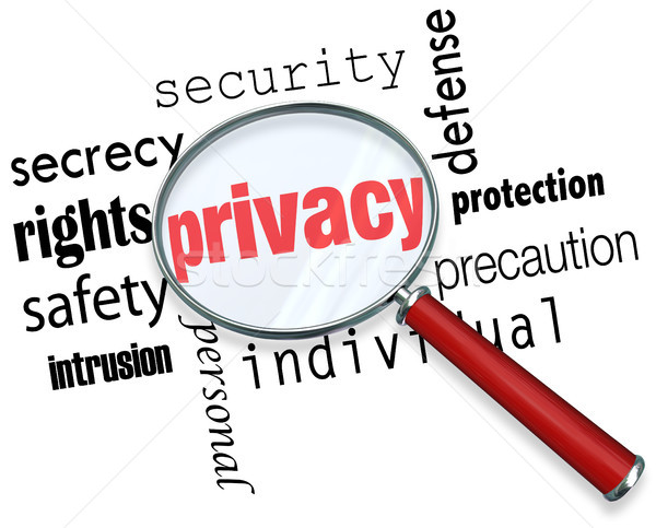 Privacy Word Magnifying Glass Online Security Identity Theft Stock photo © iqoncept