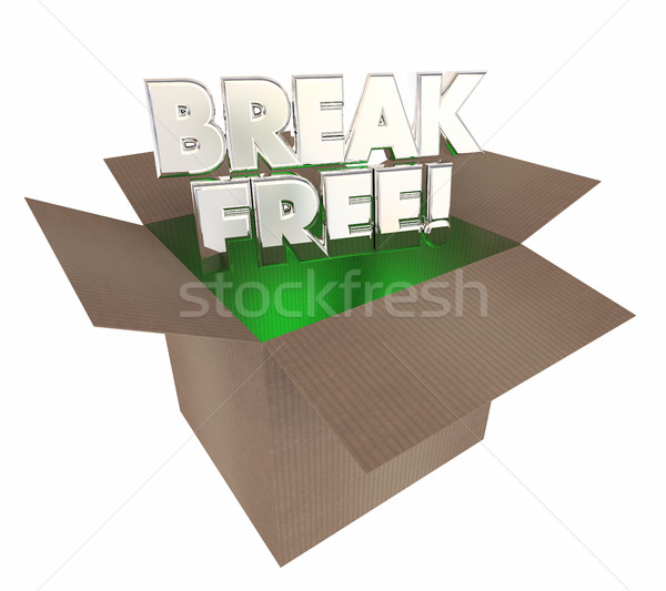 Break Free Liberate Yourself Cardboard Box Words 3d Illustration Stock photo © iqoncept