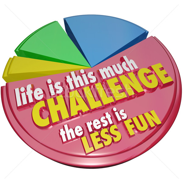 Pie Chart Life This Much Challenge Rest Less Fun Stock photo © iqoncept