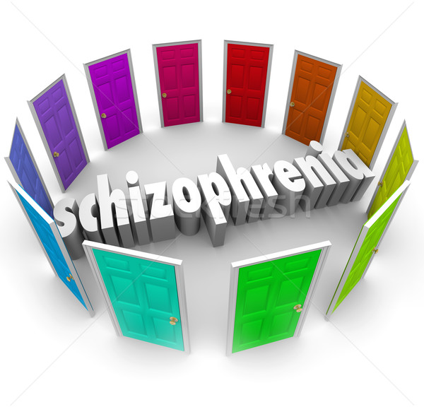 Schizophrenia Many Doors Multiple Personality Disorder Stock photo © iqoncept