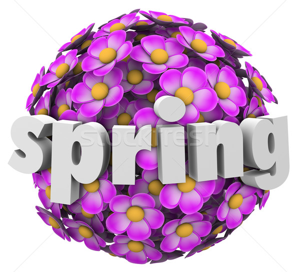 Spring Blossom Growth Renewal Season Change Stock photo © iqoncept
