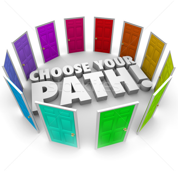 Choose Your Path Doors Directions Opportunities Career Job Stock photo © iqoncept