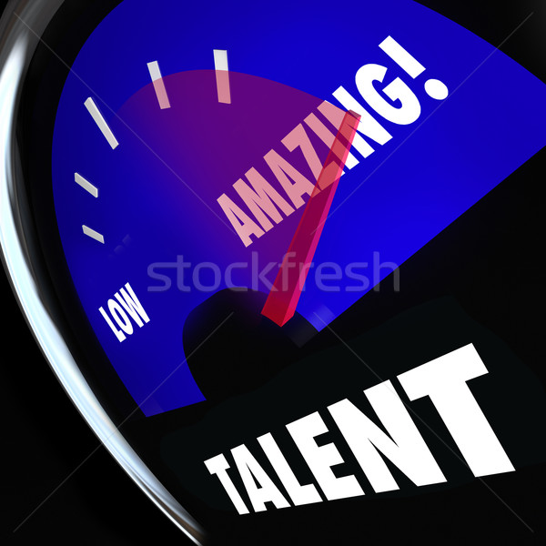 Talent pomiary poziom umiejętności Zdjęcia stock © iqoncept