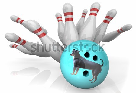 Wereld valuta bowling staking wereldbol Stockfoto © iqoncept