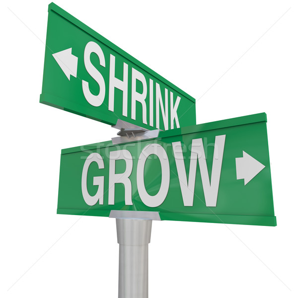 Grow Vs Shrink Words Two Way Signs Increase Vs Decrease Stock photo © iqoncept