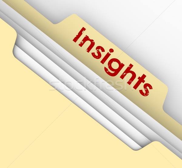 Insight Ideas Communication Information Analysis Manila File Fol Stock photo © iqoncept