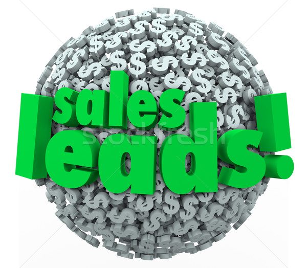 Sales Leads Dollar Sign Sphere Money Converting Prospects Custom Stock photo © iqoncept