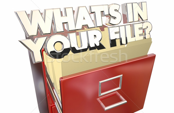 Whats In Your File Personal Information Data Private Stock photo © iqoncept