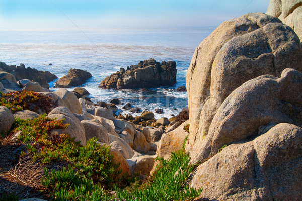 Stock foto: Groß · Kalifornien · USA · Strand · Baum · Landschaft