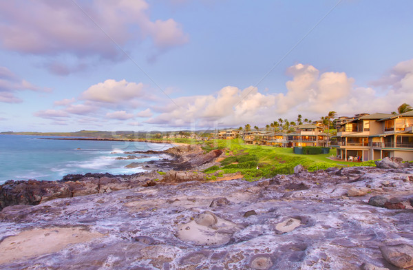 Island Maui cliff coast line with vacation houses. Stock photo © iriana88w