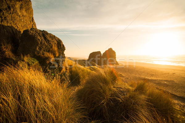 Świt Oregon wybrzeża ocean armata plaży Zdjęcia stock © iriana88w