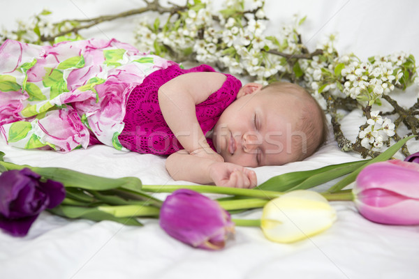 Baby girl of one month in pink with spring flowers. Stock photo © iriana88w