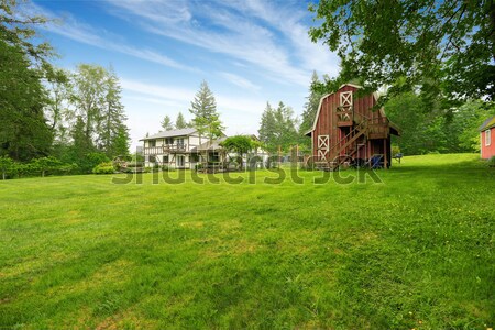 Summer fenced backyard with play ground area and trees. Stock photo © iriana88w