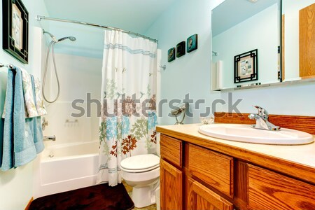 Faible simple vieux salle de bain bleu tapis Photo stock © iriana88w