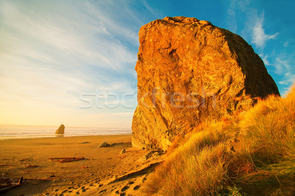 Sunrise at Oregon coast, Pacific ocean, Cannon beach Stock photo © iriana88w