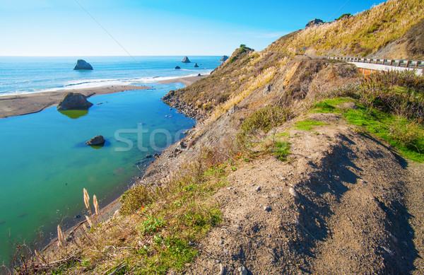 Okyanus sahil Kaliforniya ABD manzara plaj Stok fotoğraf © iriana88w