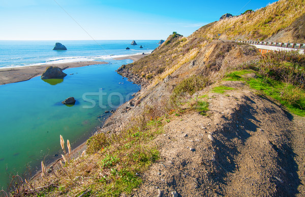 Foto d'archivio: Ocean · costa · California · USA · panorama · spiaggia