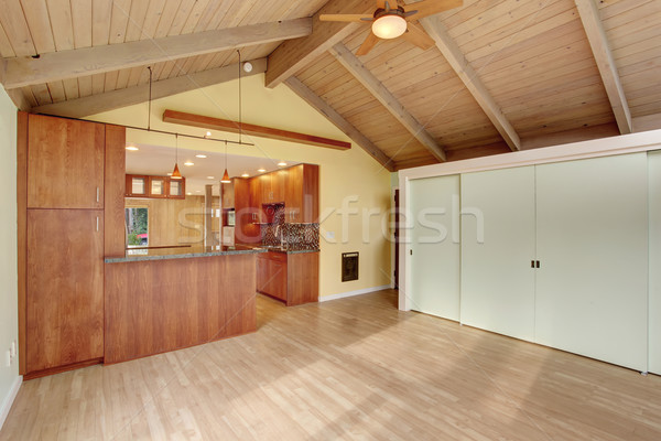 Nice Dinning room with green walls. Stock photo © iriana88w