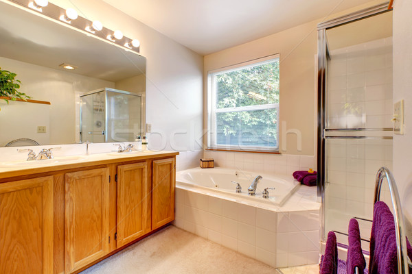 Simple bathroom interior with bath tub and glass door shower Stock photo © iriana88w