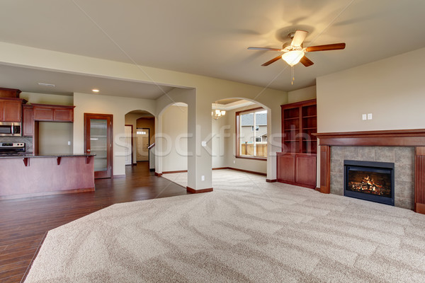 Lovely unfurnished living room with carpet. Stock photo © iriana88w