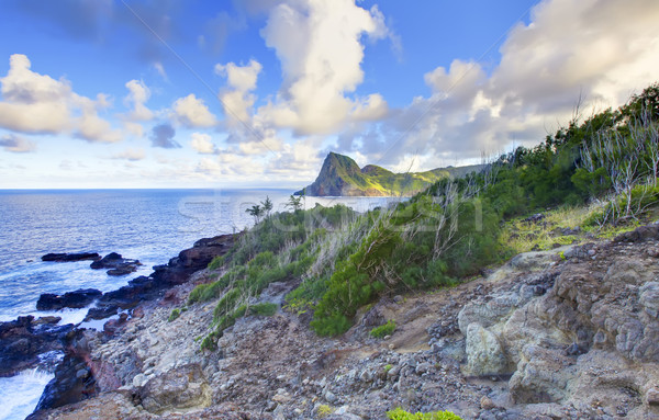 île falaise côte ligne océan Hawaii Photo stock © iriana88w