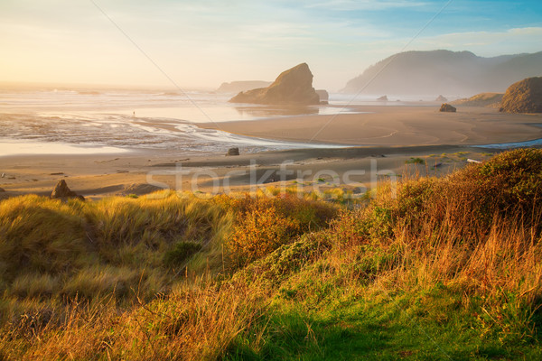 Sunrise Oregon côte océan canon plage Photo stock © iriana88w