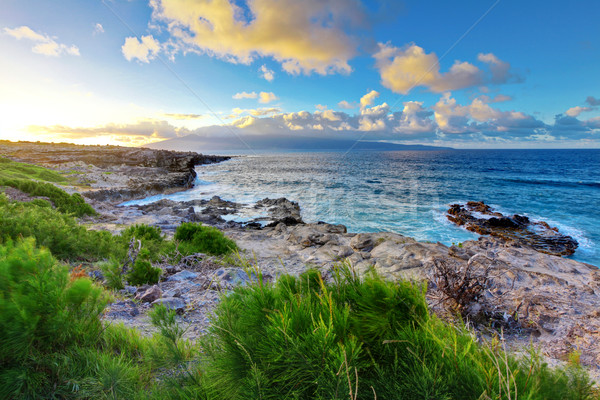 Maui. Hawaii. Ocean and sunset. Stock photo © iriana88w