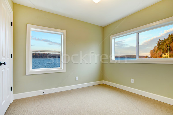 Empty new bedroom with water view, green walls. Stock photo © iriana88w