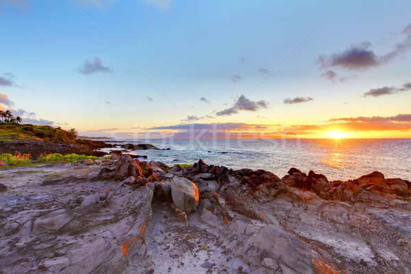 île falaise côte ligne océan Hawaii Photo stock © iriana88w