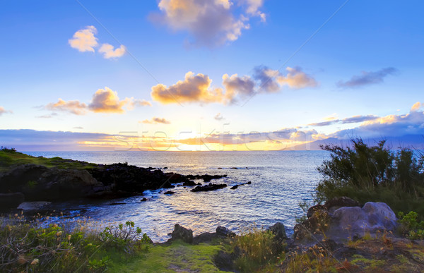 Island Maui cliff coast line with ocean. Hawaii. Stock photo © iriana88w